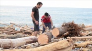 Kışlık yakacak ihtiyacı için selin Karadeniz&#039;e sürüklediği odunları topluyorlar