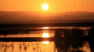 Kızılırmak Deltası 'Dünya Doğal Mirası' listesine girmeye hazırlanıyor