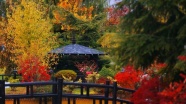 Konya&#039;daki Kuğulu ve Japon Parkı hazan renklerine büründü