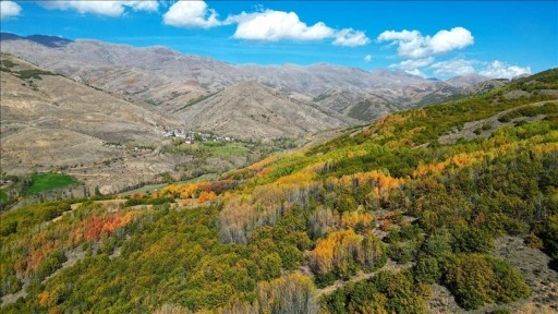 Kop Dağı'ndaki vadilerde sonbahar güzelliği yaşanıyor