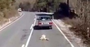 Köpeği aracının arkasından sürükleyen cani serbest bırakıldı