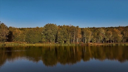 Korugöl Tabiat Parkı'nda sonbaharın renkleri kendini gösterdi