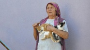 Köyün kaderine terk edilen kedilerine annelik yapıyor