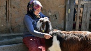 Kuaförlüğü bırakan kadın, mutluluğu keçi yetiştiriciliğinde buldu