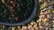 Kunduz Ormanları&#039;nda sonbahar güzelliği