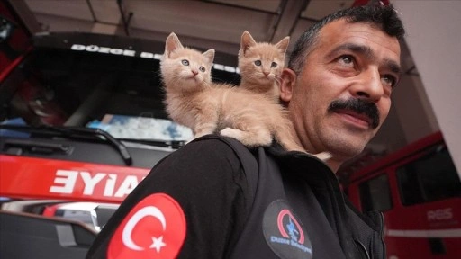 Kurtarma ihbarına gittiği kedi yavrularını sahiplendi