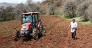 Kuşlar aç kalmasın diye tarlaları ekiyorlar