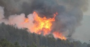 Kütahya'da orman yangını söndürülemiyor