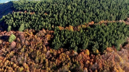 Kütahya'daki Boyalı Dağı, sonbaharın renklerine boyandı