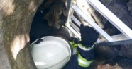 Kuyuya düşen kediyi itfaiye ekipleri kurtardı