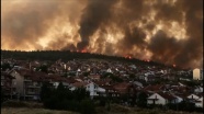 Kuzey Makedonya&#039;da orman yangını