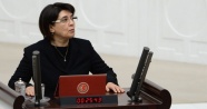 Leyla Zana, Valiye 'PKK’yı 20 devlet kullanıyor' demiş