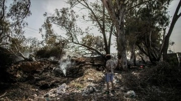 Libya'da aşırı sıcaklar nedeniyle çıkan yangın binlerce palmiye ağacını kül etti