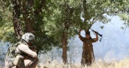 Lice’de PKK'nın sözde orta saha sorumlusu öldürüldü