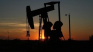 Lukoil İran'dan petrol alımını durdurdu