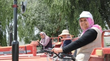 Mahallenin çiftçi kadınları traktörleriyle tarla yollarını aşındırıyor