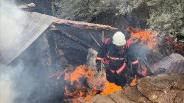 Malatya'da 600 dönümlük anız arazisi yandı, bir inek telef oldu
