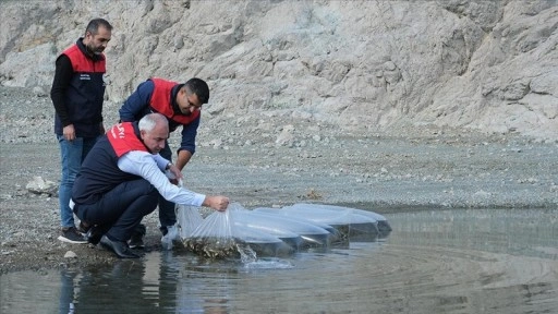 Malatya'da baraj ve göletlere 2,2 milyon sazan yavrusu bırakıldı