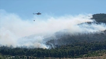 Manisa Soma'da çıkan orman yangını kontrol altına alındı