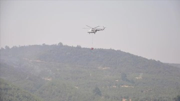 Manisa ve Uşak'taki orman yangınları kontrol altına alındı