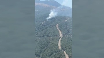 Manisa'da Spil Dağı eteklerinde çıkan orman yangını kontrol altına alındı