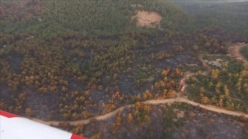 Manisa'daki orman yangınına müdahale sürdü