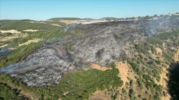 Manisa'nın Kula ilçesindeki orman yangını söndürüldü