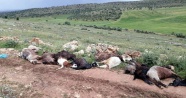 Mardin'de yıldırım çarpan çoban ağır yaralandı