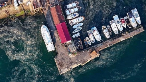 Marmara Denizi'nde müsilaj yeniden görüldü