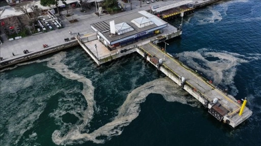 Marmara Denizi'nin Adalar bölgesinde müsilaj görülmeye devam ediyor