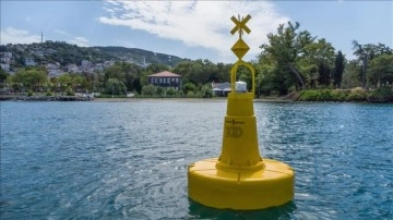 Marmara Denizi ve İstanbul Boğazı'ndaki deniz çayırları şamandıralarla korunacak