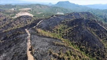 Marmaris'te yanan orman alanı havadan görüntülendi