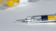 Meksika&#039;ya Kovid-19&#039;a yönelik 7 bin test aşısı getirildi