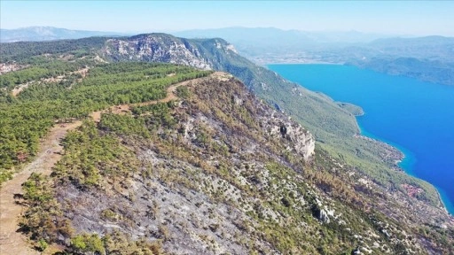 Menteşe'de ormancılar 6 kilometre "yangın şeridi" açarak alevlerin önünü kesti