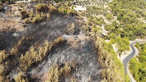 Menteşe'de orman yangınından etkilenen alanlar havadan görüntülendi