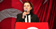 Meral Akşener: MHP değişikliğe giderse başbakan olurum!