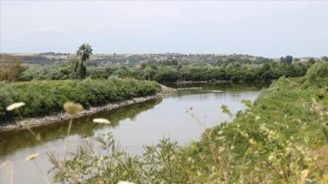Meriç Nehri'nde su akışının hızlanması için temizlik yapılacak