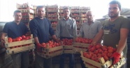 Mersin’den Irak’a domates ihracatı başladı