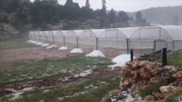 Mersin'de sağanak tarım alanlarında hasara sebep oldu
