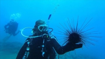 Mersin'in mavi suları dalış turizminde de öne çıkıyor