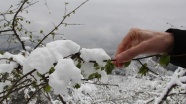 Meteoroloji'den zirai don uyarısı