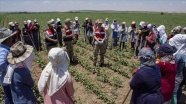 Mevsimlik işçiler jandarmanın takibinde