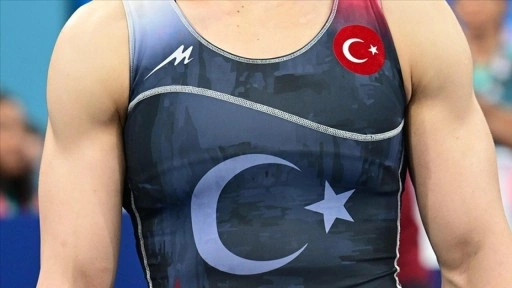 Milli güreşçiler 2024'te Avrupa'da tarih yazdı, olimpiyatlarda beklentileri karşılayamadı