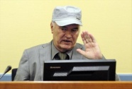 Mladic hakkındaki karar 22 Kasım'da açıklanacak