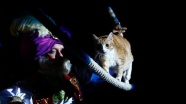 Moskova'da tiyatrocu kediler ilgi topluyor