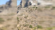 MSB: Avaşin bölgesinde PKK'ya ait mağara kullanılamaz hale getirildi
