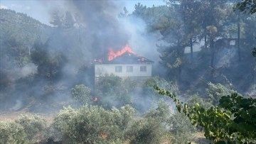 Muğla'da evde başlayan yangın ormana sıçradı