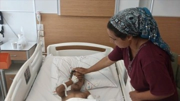Muğla'da köpeğin saldırısına uğrayan çocuk yaralandı