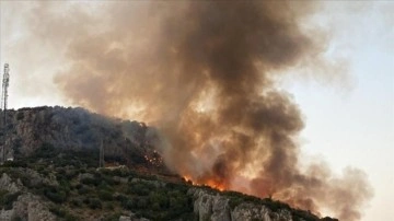 Muğla'da makilik alanda çıkan yangına müdahale ediliyor