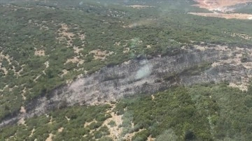 Muğla'da ormanlık alanda çıkan yangın söndürüldü